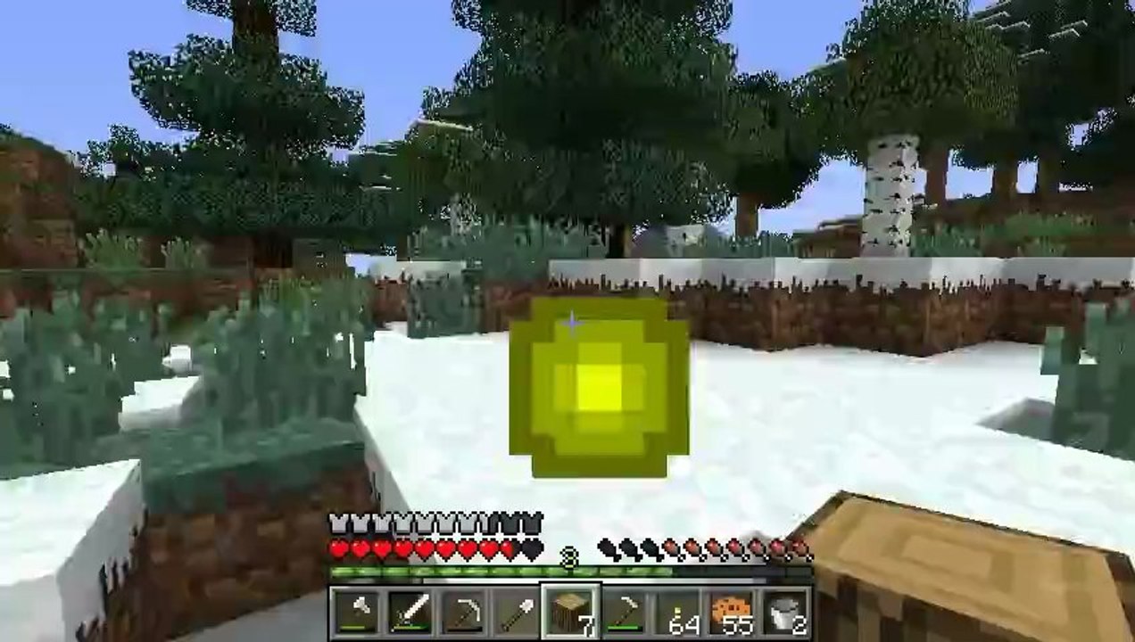 Minecraft Let's Play 139: Maus in der Fresse