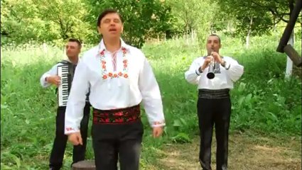 Puiu Codreanu   Nu i bogat bogatu   nou HD