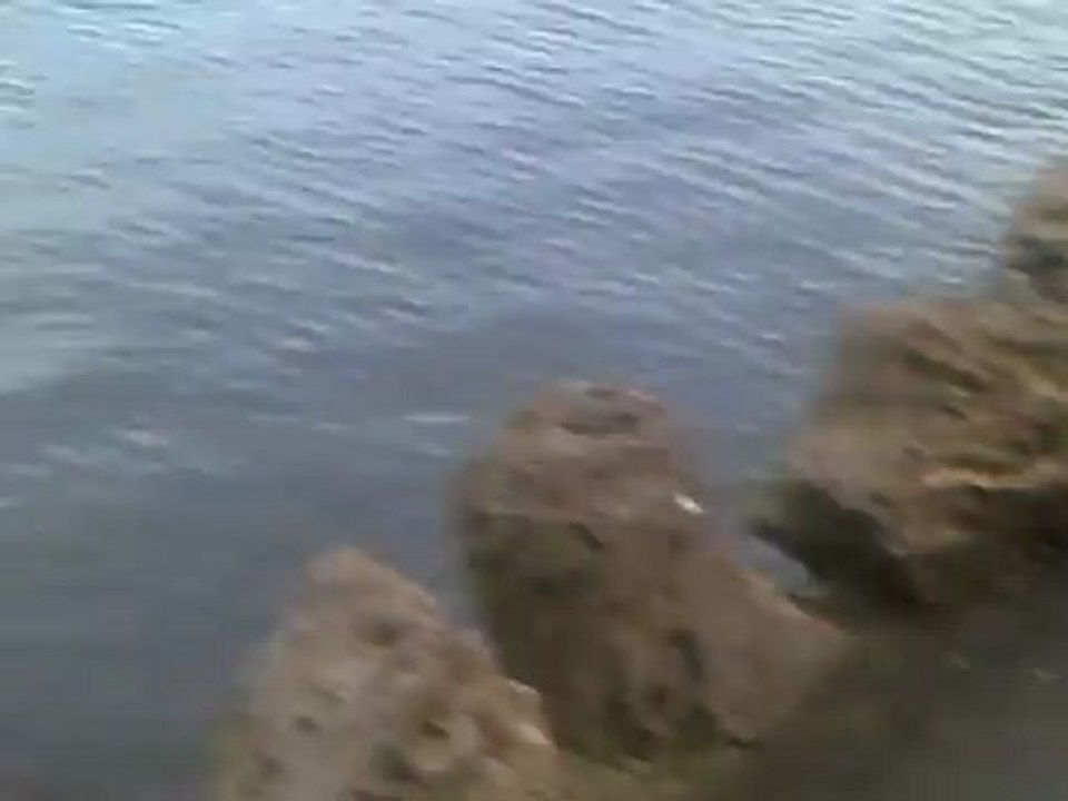 CLIP0455