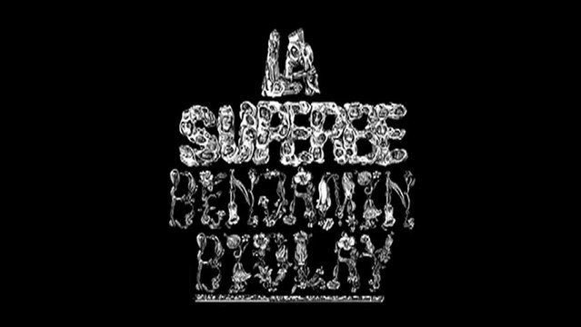 Benjamin Biolay La Superbe [ Making of ] -2009