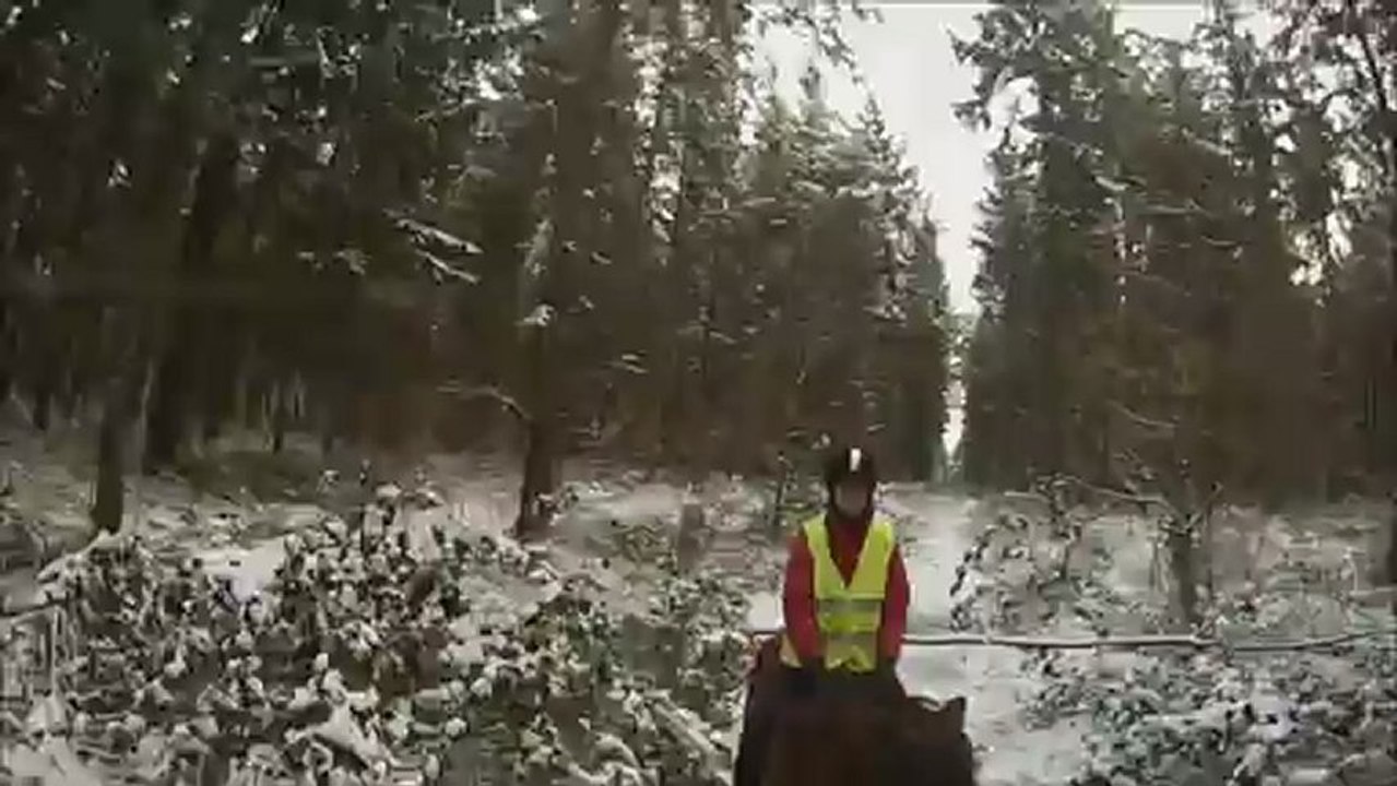 Sortie neige 2012-01-18