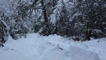clearing the track