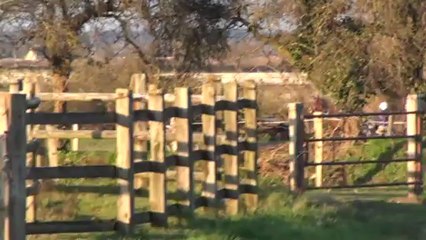 BINGO DU LYS EN JOG A CARENTAN