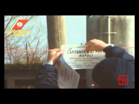 Villa Literno (CE) - Sequestrate masserie bufaline per maltrattamento animali 2 (18.01.13)