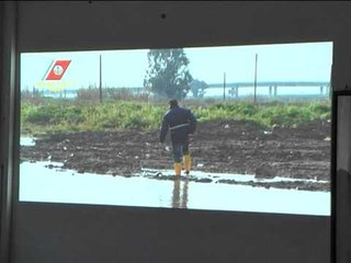 Napoli - Sequestro Guardia Costiera di aziende zoofile (18.01.13)