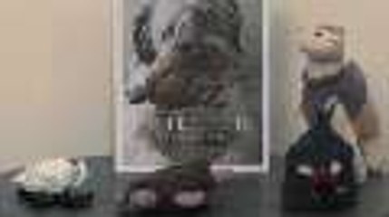 Pet Projects authors Joanna Osborne and Sally Muir