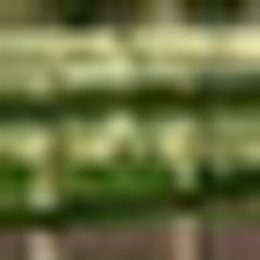 BOLERO DU LYS AU TRAVAIL A CARENTAN