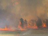 Bushfires plague south east Australia