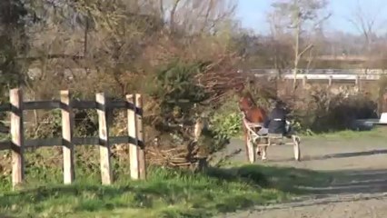 BOLERO DU LYS ET BLUE ROC EN JOG A CARENTAN