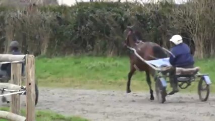 BIPLAYER ET BIRDY EN JOG A CARENTAN