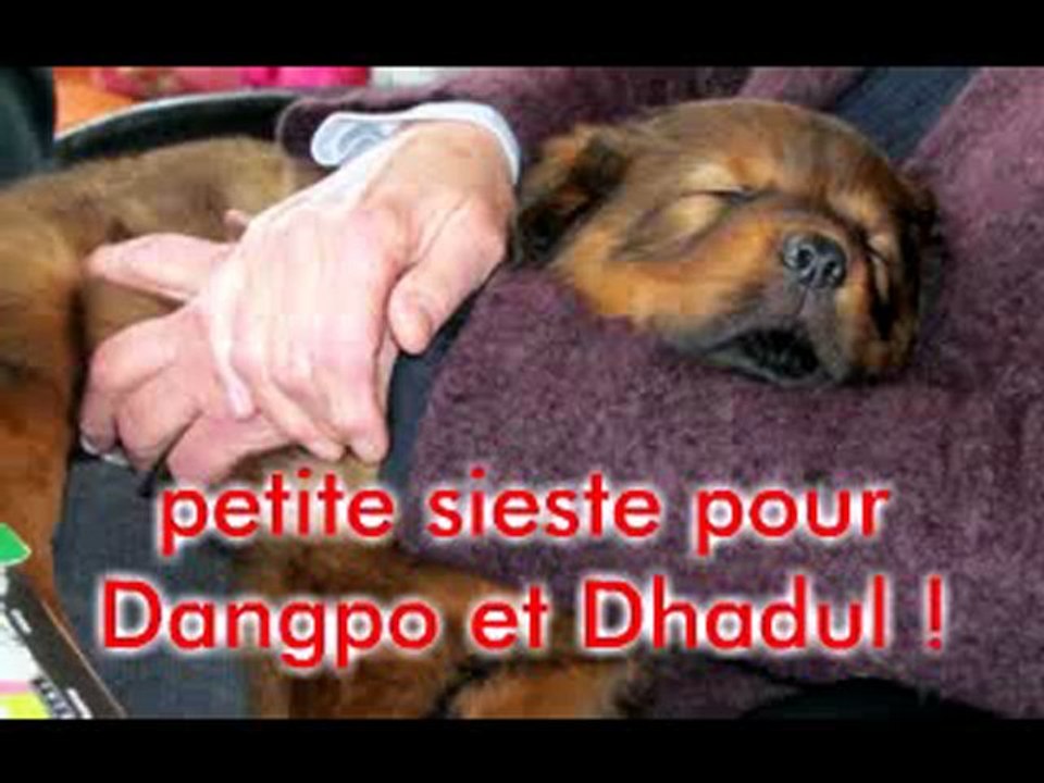 Dangpo_et_Dhadul-0
