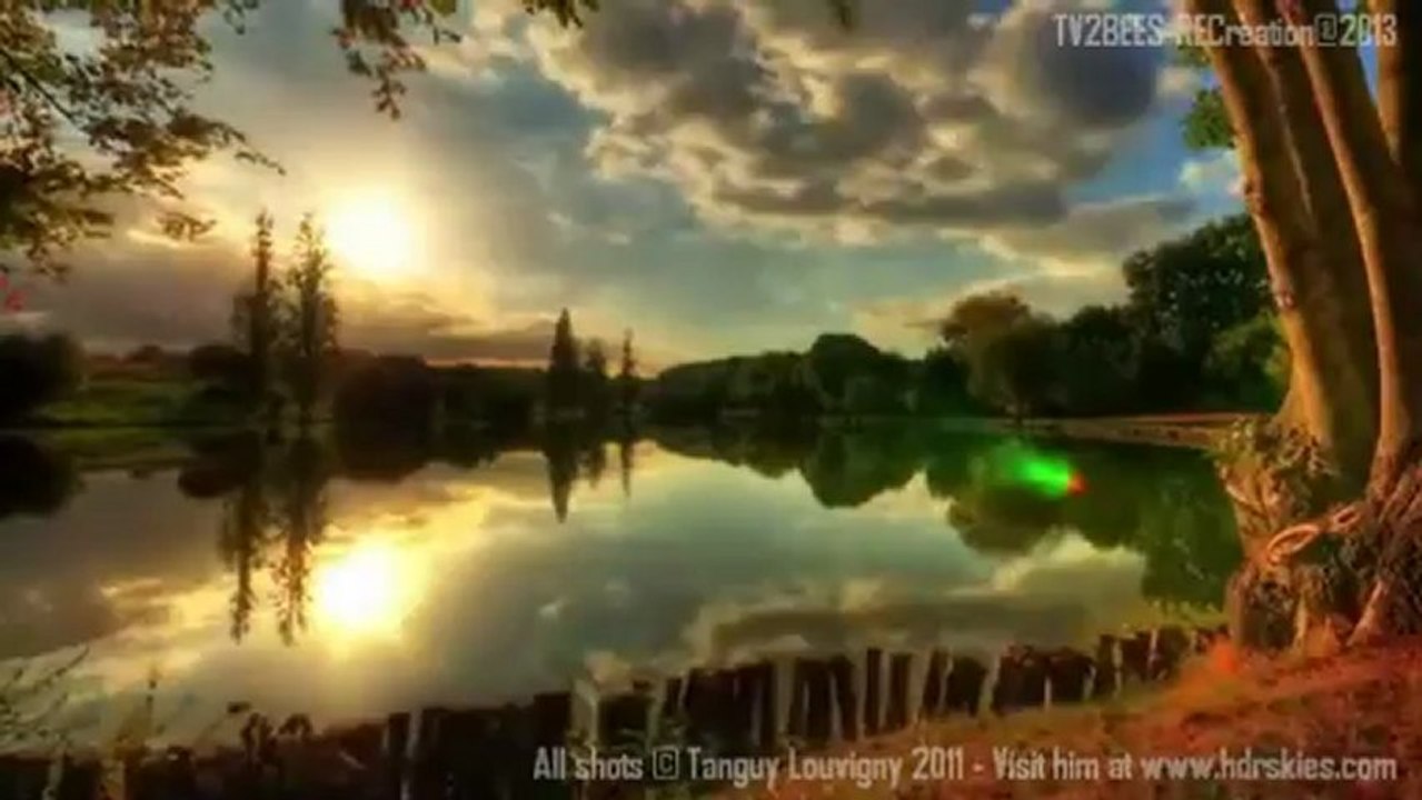 TV2BEES - Timelapse