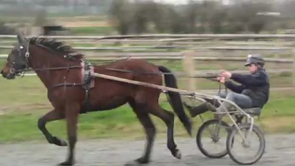 BALADE DU LYS ET BRIONA EN PISTE