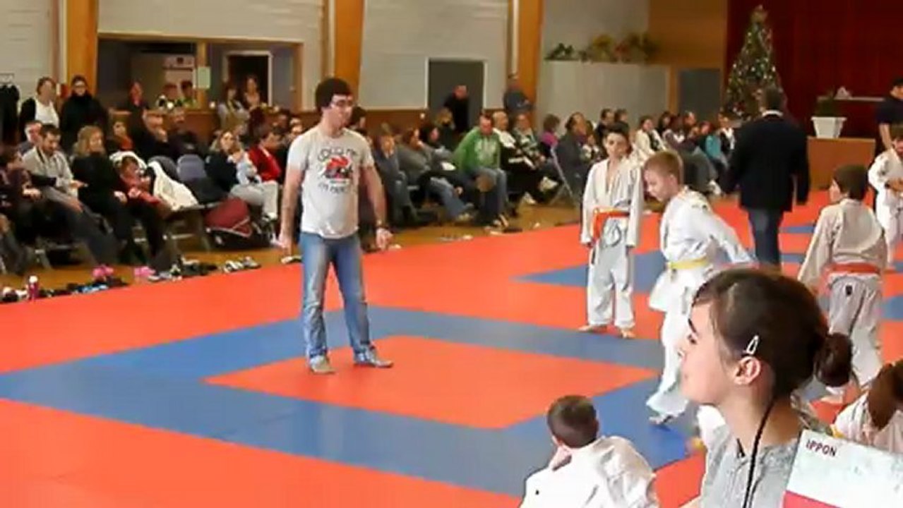 Animation Poussins/Pré-poussins