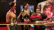 19th Annual Screen Awards [Red Carpet] 19th January 2013 Video Watch Online 720p HD Pt1