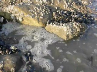 Vagues à l'âme à la pointe aux oies