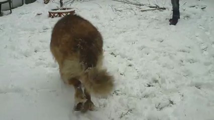 Bewan est très très content^^