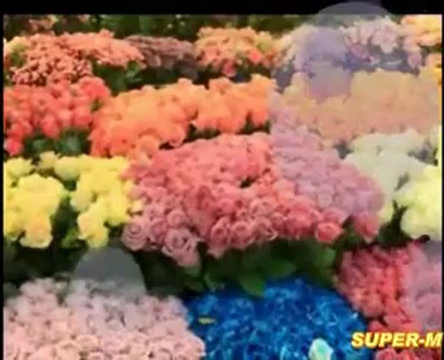 เพลง  ดอกไม้ (สุชาดิ )