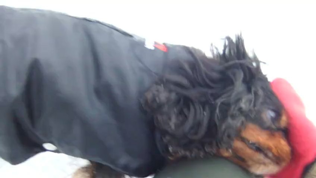 le trio dans la neige