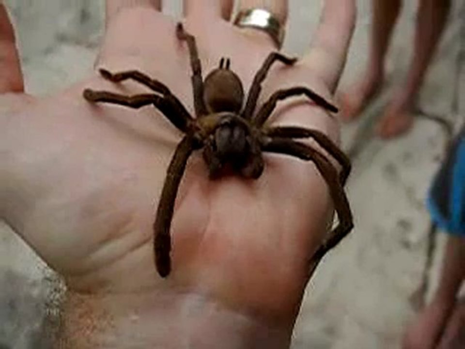 1번★●★▶AC1313.COM◀★●★생중계블랙잭●★생중계블랙­잭