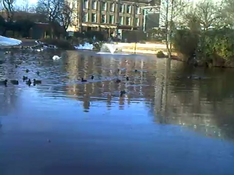 CLIP0482