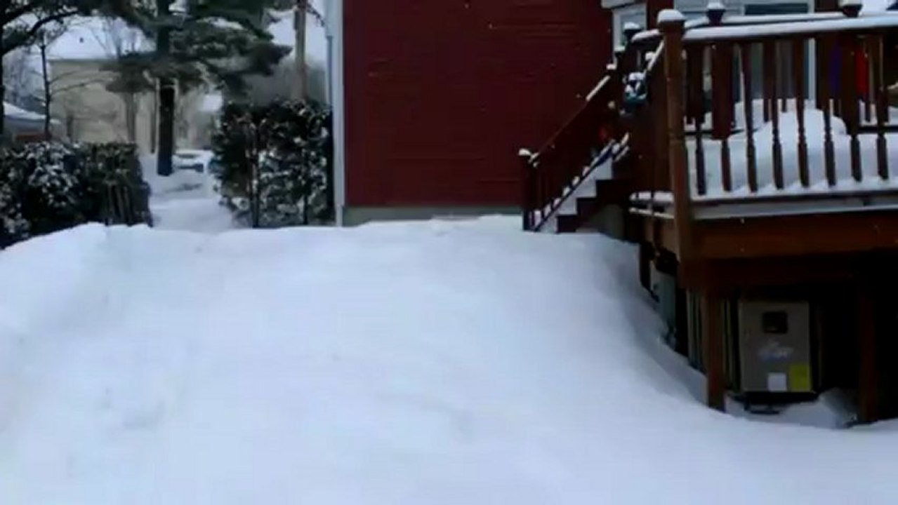 VIDEO0017
