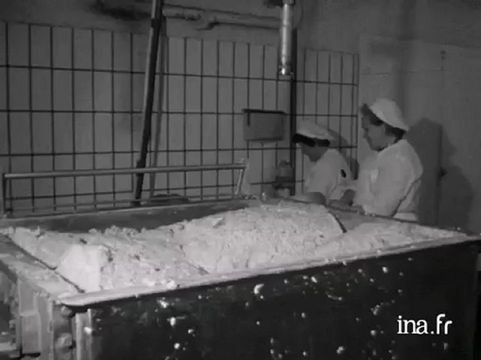 Brezhoneg : Ar moc'h e departamant Penn-ar-Bed