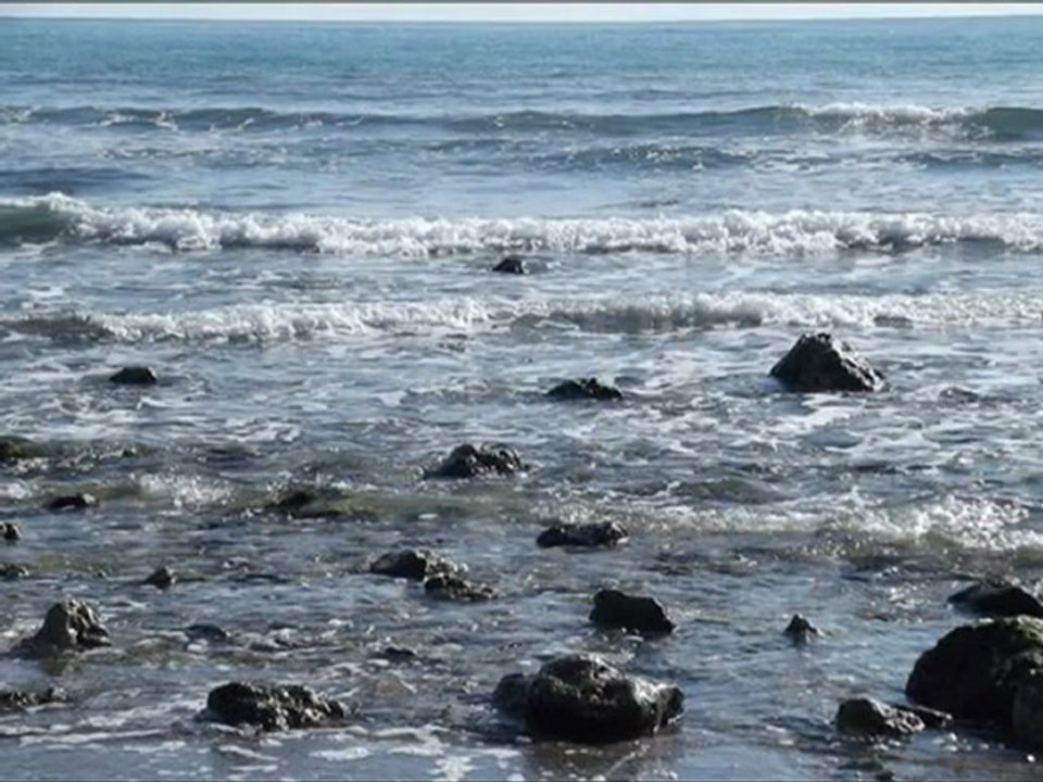 Her Şiirin Uyaksızı