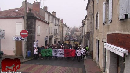 Marche silencieuse contre l'élevage de Harlan à Gannat (19.01.2013)