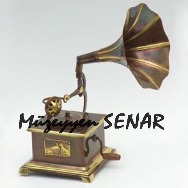 Kimseye Etmem Şikayet