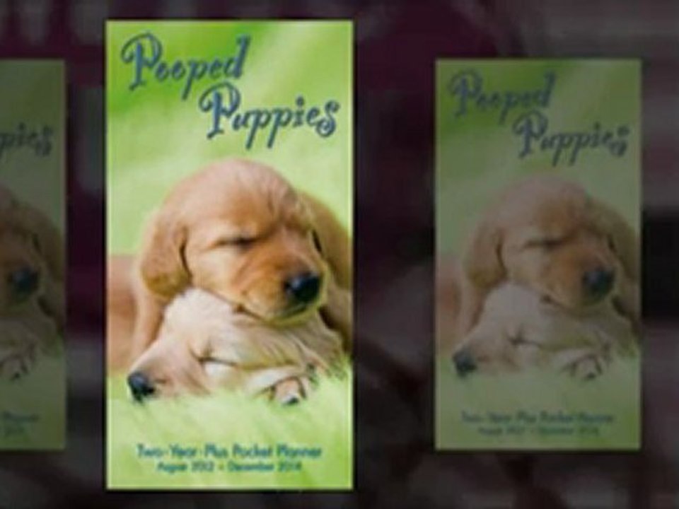 2013 Pocket Planners 2 year Personalize Pocket Planner Megacalendars  2013 Calendars