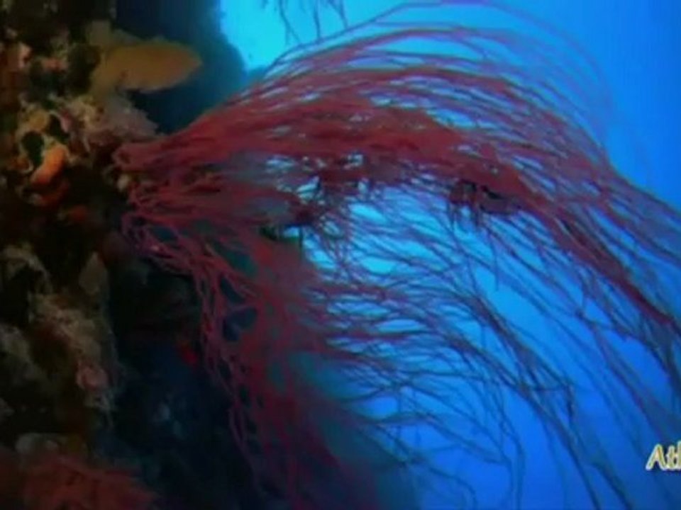 Michael Jackson - Planet Earth - Earth song Instrumental Greek subtitles