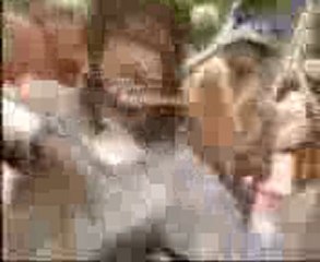 JAi JAI  PRITHVIRAJ CHAUHAN TITAL SONG