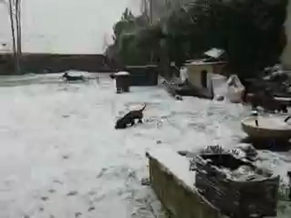 20012013 les petites sous la neige