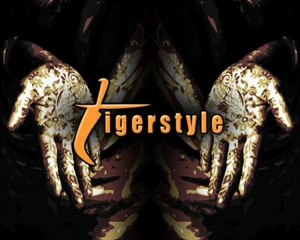 Punjabi Mc  Billy Jean Remix Tigerstyle  Nachna Onda Ni-