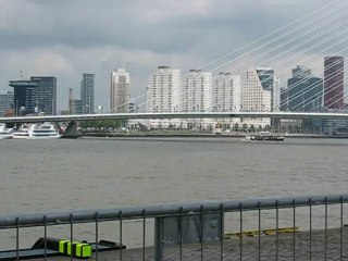 Rotterdam, Pays Bas :  pont Erasmus et skyline