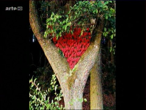 Pierre Lhiabastres - voix off - doublage - 01