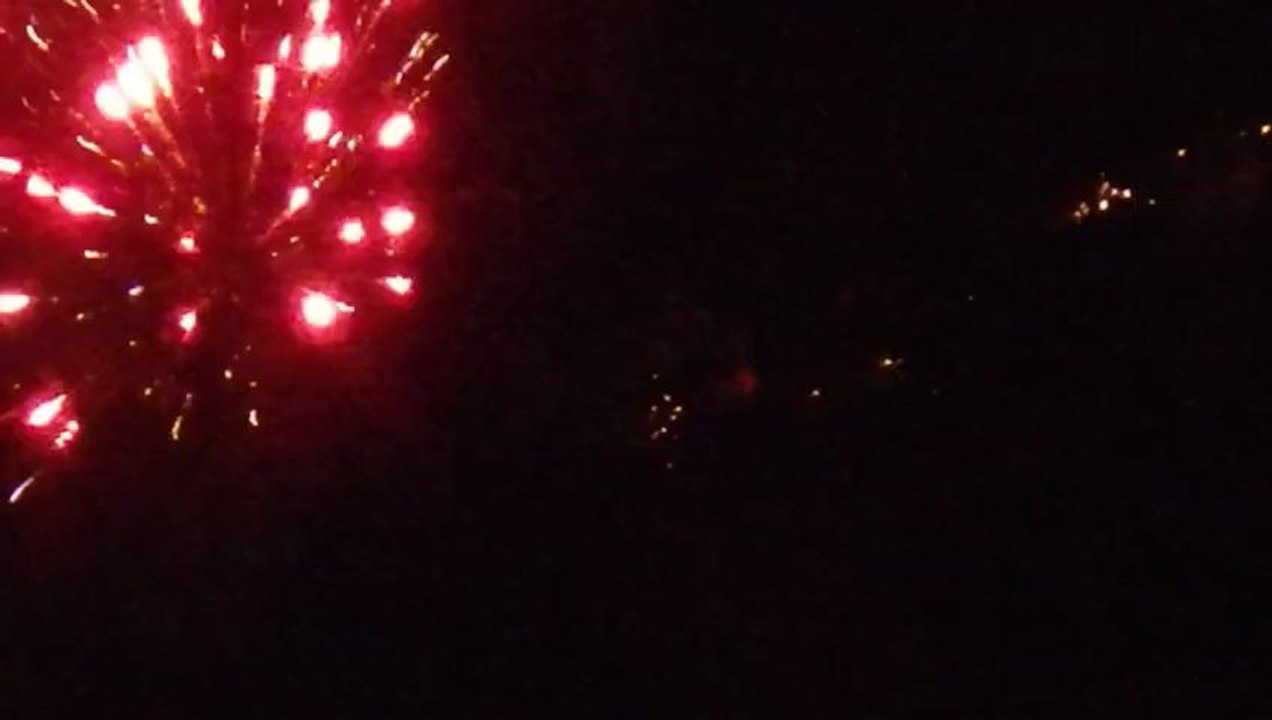 Bonne Année 2013 de Maurice