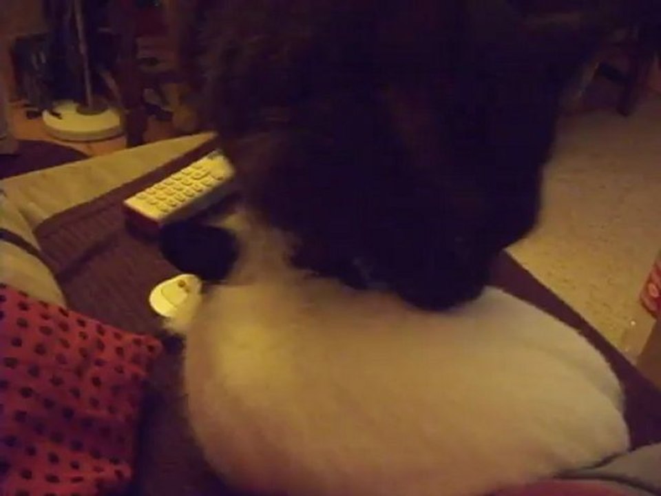 Galen cherche Charbon 2