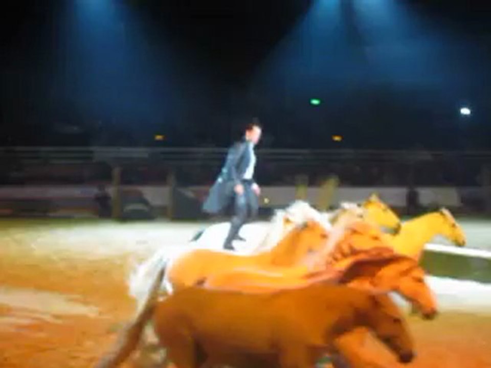 Lorenzo - Les Crinières d'Or / Cheval Passion - Avignon 2013