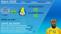 Officiel : Djibril Cissé rejoint Nenê à Al Gharafa !