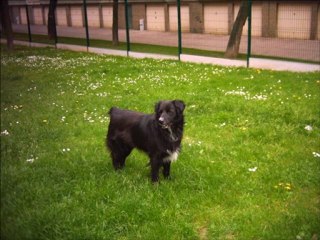 Mon mabrouck repose en paix