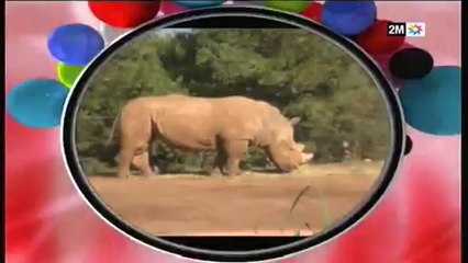 بغيت نعرف: الأحد 20 يناير