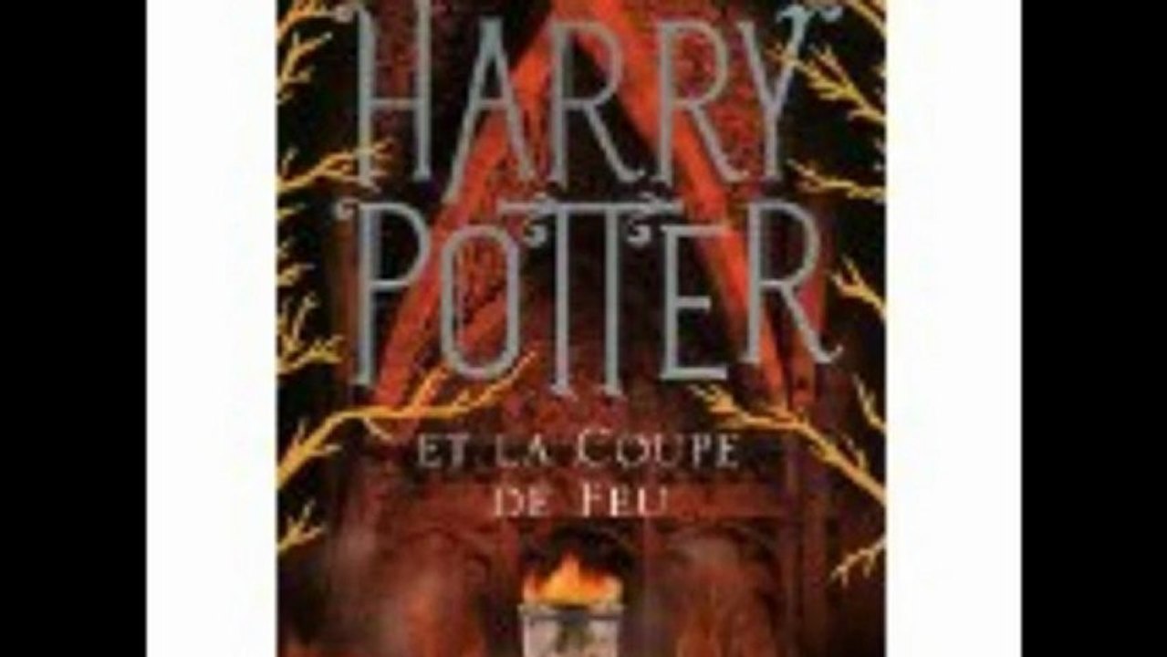 Critique de Livres Jeunesse : Harry Potter (Valentine STEPHEN)