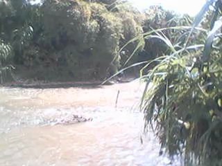 muerto en las orillas del rio tuy