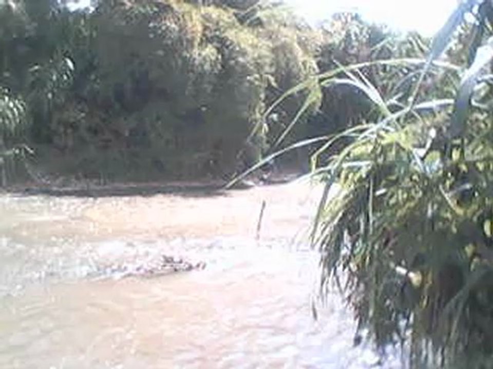 muerto en las orillas del rio tuy