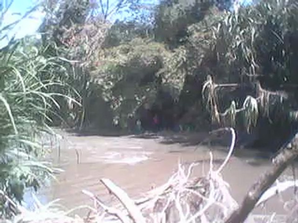 muerto (2)