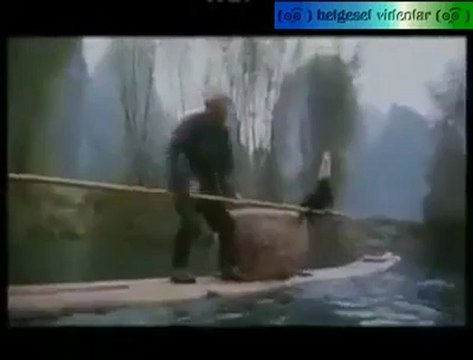 Karabatak ile Balık Avı Müthiş