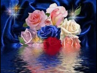 Turgay Başyayla Nazlıcan (MaviStar)