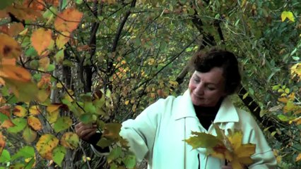 "Посвящение женщине" Співає Людмила Овсяннікова